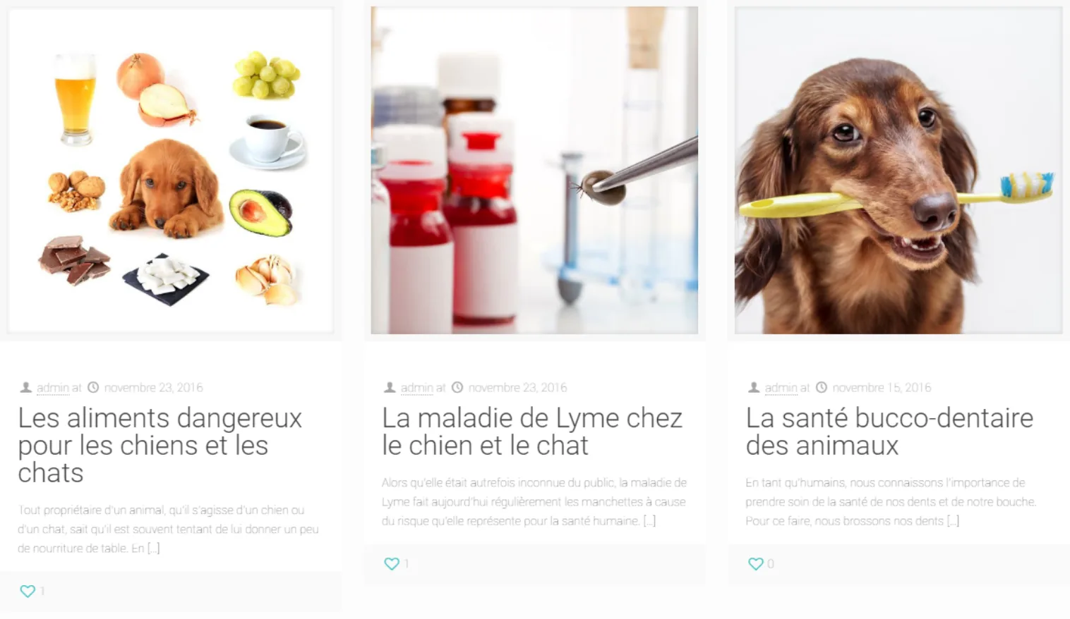 Clinique vétérinaire Anne-Le Seigneur blog posts about pet health