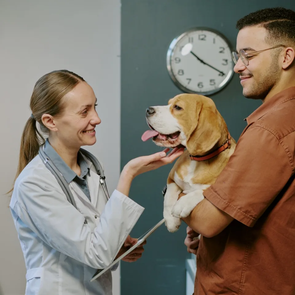 A 360° view of your veterinary marketing